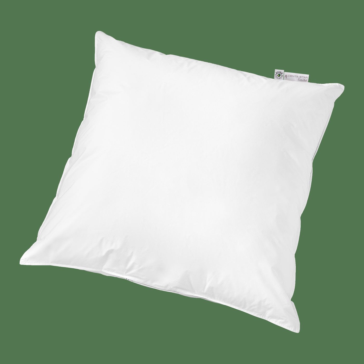 veggie-kopfkissen-vegan-80x80-schraeg