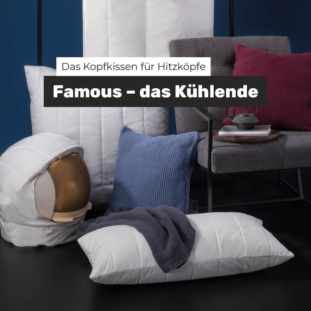 famous-das-kuehlende-kopfkissen