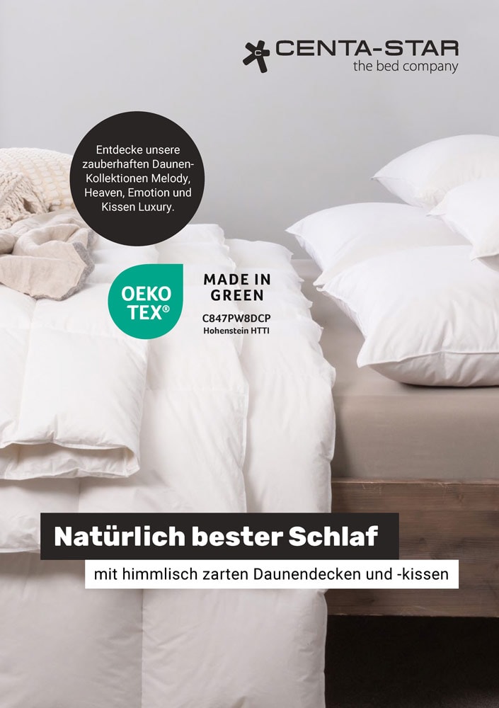 feder-daune-flyer-vorschau
