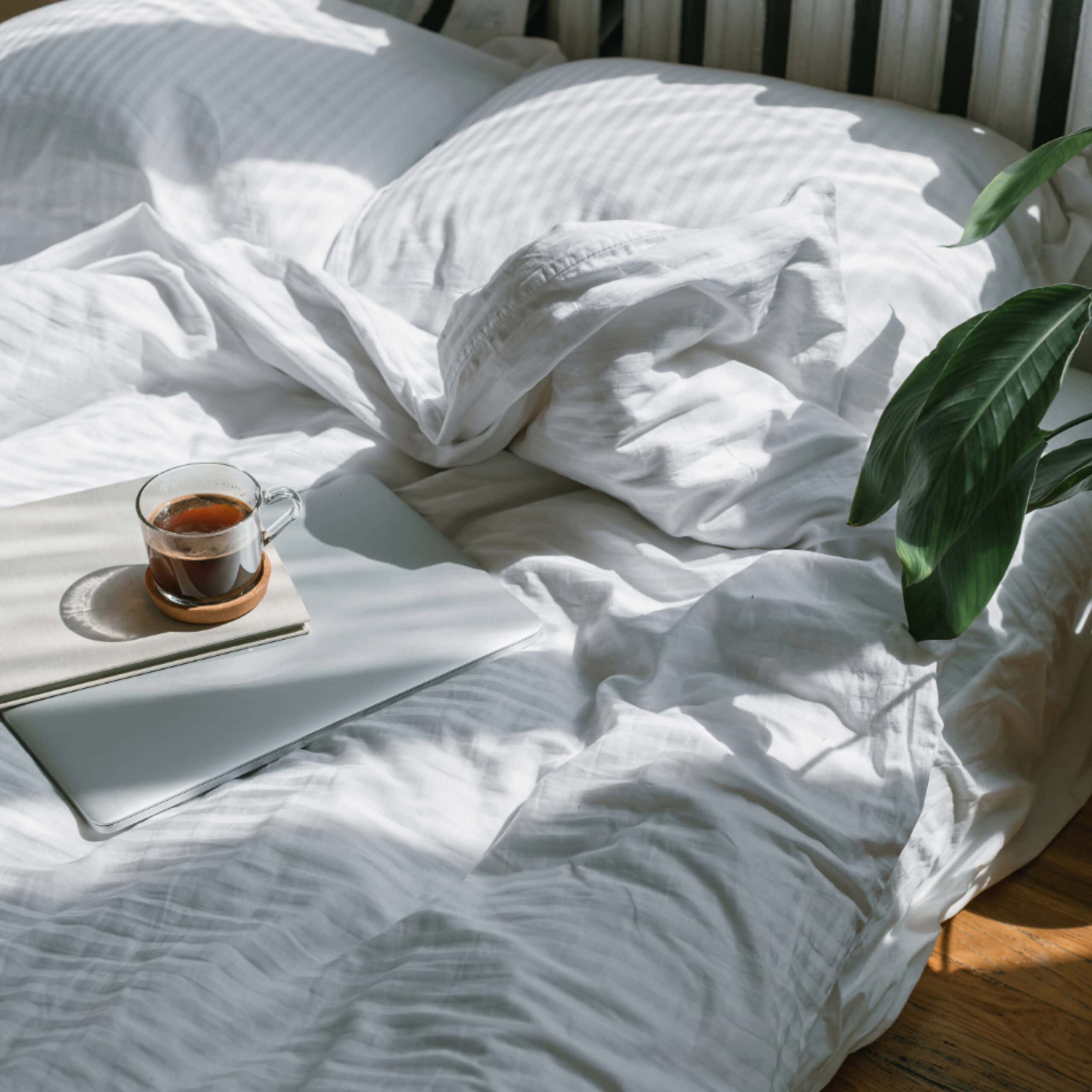 laptop-im-bett
