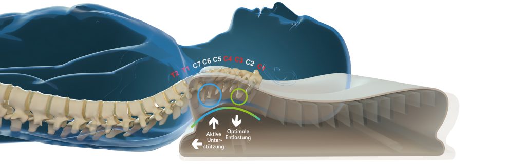 neckprotect-kopfkissen-halswirbelsaeule-weiss neckprotect-kopfkissen-halswirbelsaeule-weiss