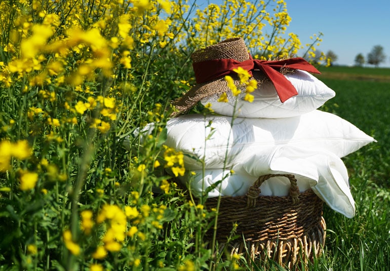 sommerdecken-rapsfeld-banner-mobil