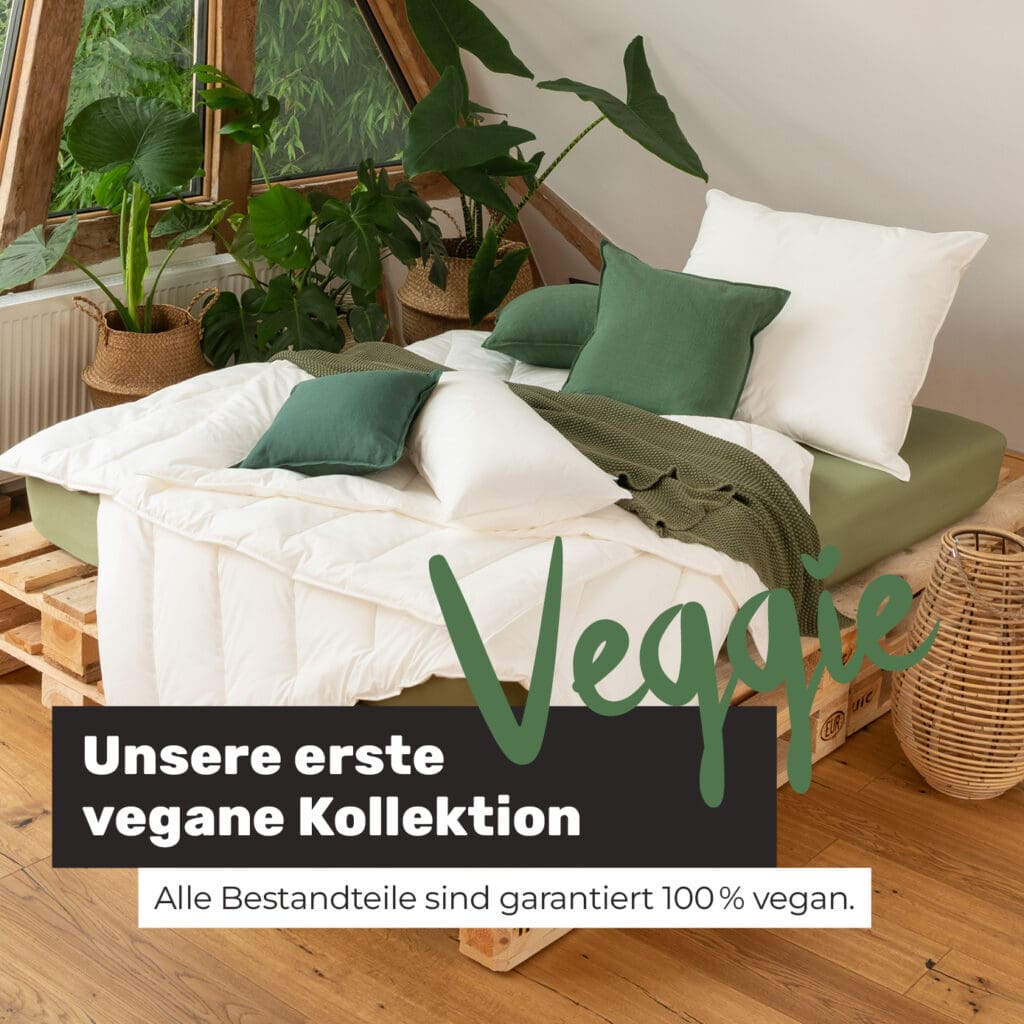 veggie-teaser-startseite